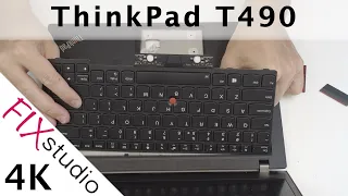 Lenoto ThinkPad T490 - disassemble [4k]