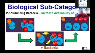 WEBINAR: Understanding Biologicals for Improved Soybean Management