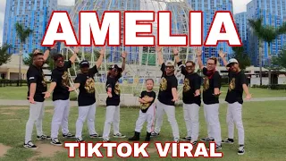 AMELIA / TIKTOK VIRAL / KRZ REMIX / DANCEWORKOUT BY TEAMBAKLOSH AND ANNICA TAMO