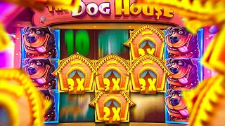 ЭТО АБСОЛЮТНЫЙ РЕКОРД ПО ОГРОМНОЙ СТАВКЕ В DOG HOUSE 🔥