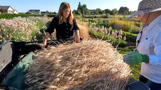 Harvesting Wheat & Making Wreaths with My Family! 🌾✂️🥰 // Garden Answer
