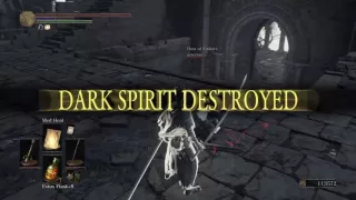 DARK SOULS™ III aka blue sentinels can't do anything right