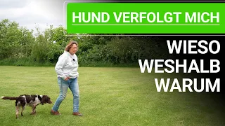 🐕🐶 Hund verfolgt mich in der Wohnung ➡️ WIESO WESHALB WARUM 🐕🐶✔️