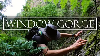 Window Gorge (4K) | Table Mountain's Toughest Scrambles