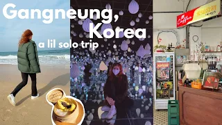 A Solo Trip to Gangneung, Korea VLOG 💙 강릉 당일치기