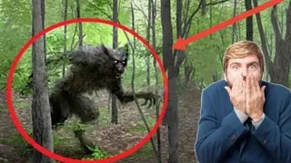 Top 5 Real Werewolves CAUGHT ON CAMERA