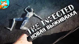 МНОГООБЕЩАЮЩАЯ НОВАЯ ВЫЖИВАЛКА - The Infected