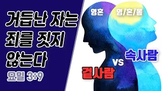 거듭난 자는 죄를 짓지 않는다 (요한일서 3:9) | 그리스도인은 이중인격체? - BBCI 김경환 목사