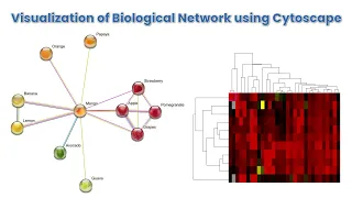 Visualization of Biological Network using Cytoscape