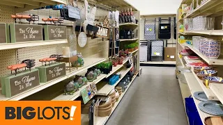 BIG LOTS SPRING SUMMER HOME DECOR PLANTS PLANTERS DINNERWARE SHOP WITH ME SHOPPING STORE WALKTHROUGH