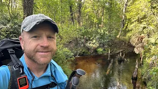 Ocala National Forest to Etoniah creek state forest - 44.1 miles hiking the Florida Trail.