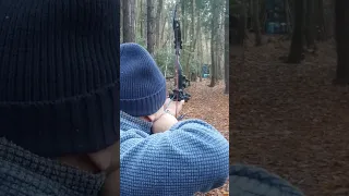 3D Archery Practice - 60 Yard Shot.