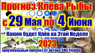 Прогноз клева рыбы на Эту неделю с 29 Мая по 4 Июня Календарь клева рыбы Лунный календарь рыбака