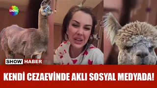 Dilan Polat'ın ''Kelepçeli lama'' şikayeti!