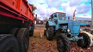 Пряники. Поездка за лесом