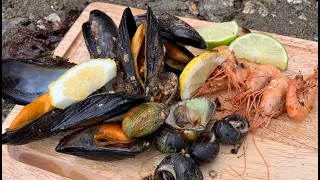 Coastal Foraging - Shellfish Beach Cook Up