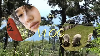 (ENG) 정호연|Junghoyeon LOG-06 Junghoyeon Vlog in JEJU