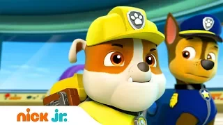 Щенячий патруль | Спасение кошки | Nick Jr. Россия