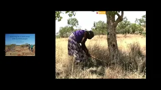 Searching for a sixth sense with Gurindji people