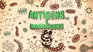 02 |Antigens & Immunogens