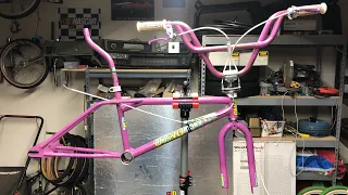 1987 Dyno D-Tour Survivor