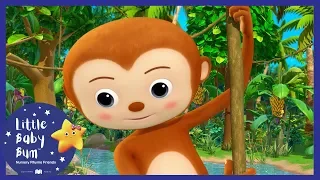 5 Little Monkeys Swinging In The Tree + More! | Little Baby Boogie | LBB | Baby Songs