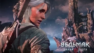 Встреча Геральта и Цири (Witcher 3)