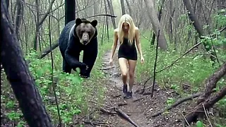 Случаи с Животными в Лесу, Которые Лучше Не Смотреть Одному