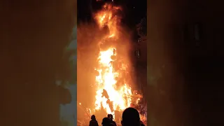 Wow! La Cremà Falla Maestro Gozalbo Fallas 2021