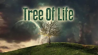 Audiomachine -Tree of Life (Full Album Epic Music)