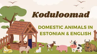 Koduloomad - Domestic Animals in Estonian & English