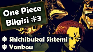 SHİCHİBUKAİ SİSTEMİ VE YONKOU NEDİR? | One Piece Bilgisi #3