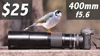 Canon M50 - $25 wildlife lens!