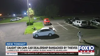 CAUGHT ON CAMERA: Cars stolen, dealership ransacked in Bay Minette