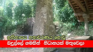 ඝනරන් බුදුපිළිම මතුවූ නිධානයට  වූ දේ.