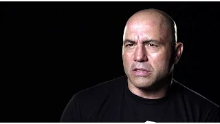 UFC 202: Diaz vs McGregor 2 - Joe Rogan Preview