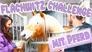 Flachwitz CHALLENGE mit PFERD ✮