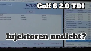 Injektoren undicht? - Golf 6 TDI