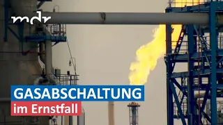 Notfallplan Gas: Wer zuerst auf Gas verzichten müsste | Umschau | MDR