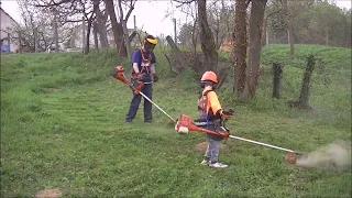 Zsenge tavaszi fűkaszálás  vakondtúrásborotválással. Kinder  Husqvarna BrushCutter mowing work