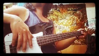 babe bass cover