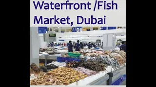 Dubai Waterfront Market, Fish, Fruits and Vegetables market