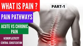 Pain Part 1 - What is Pain? Pain pathways (DPMS), Acute vs Chronic Pain, Central Sensitization.