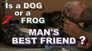 Papillon Dog or Z-Man Finesse Frog?  Which is Man's Best Friend?