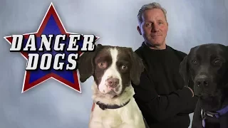 Danger Dogs (2014) | Official Trailer