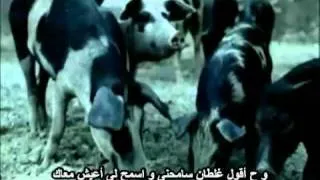 ‫ترنيمة ابويا سبت حضنه‬‎.flv