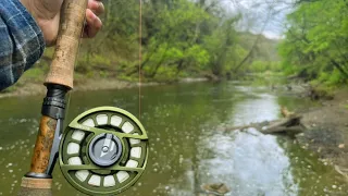 Spring Fly Fishing Western PA | Euro Nymphing  (I Hooked a HUGE Fish...)