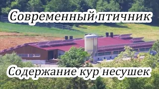 Содержание Кур несушек Самый современный Курятник Бизнес Идея