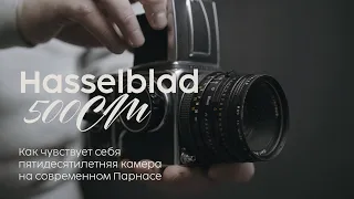 Hasselblad 500 cm. Лучший хассель для высадки на Парнасе.