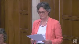 Flick Drummond MP speaks in Westminster Hall Debate on BTEC funding. 18/07/22